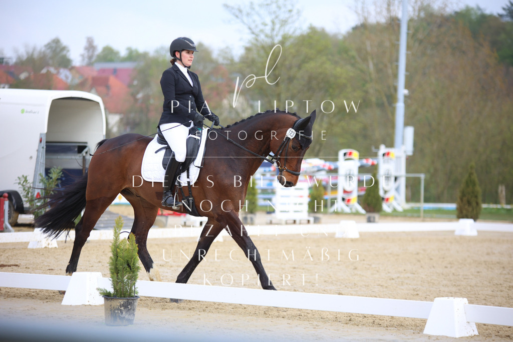 IMGT6553 | pl-fotografie