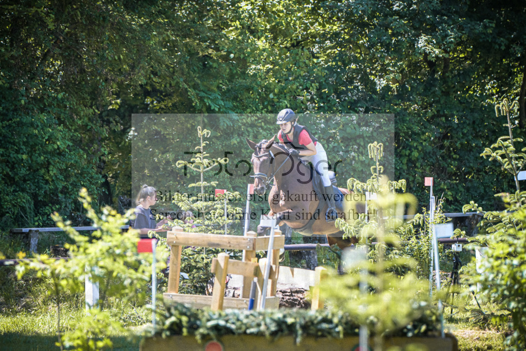 DOS_0037 | Entdecke hochwertige Reitturnierfotos von Foto Oger. Professionell, emotional und authentisch – jetzt Lieblingsmomente im Shop bestellen.Deutschlandweite Turnierfotografie. - Realisiert mit Pictrs.com