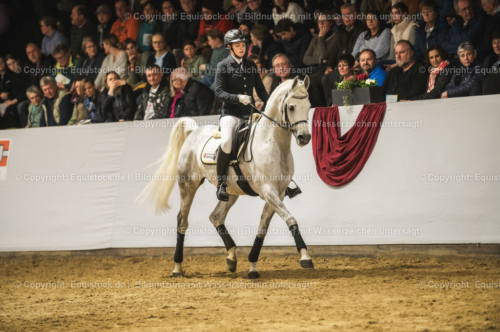 20240302_Hengstvorstellung_Marbach_TOMsPiC_1063 | equistock