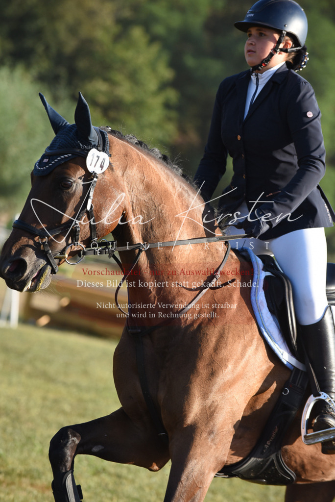 DSC_4895 | Pferde- und Turnierfotografie in Westsachsen. Pferdeportraits, Auftragszeichnungen und intuitive Kunst.
