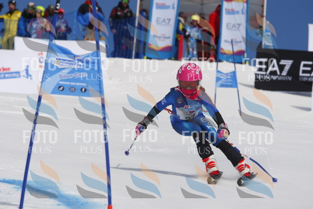 _W1G0367 | holidayphoto