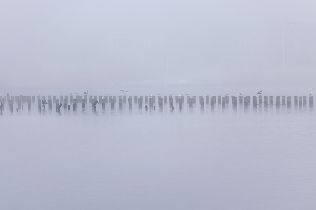 Wandbild: Heringszaun in Kappeln im Nebel | Im zarten Nebel des Morgens wirkt der Heringszaun von Kappeln wie eine Linie zwischen Zeit und Stille. Die historischen Holzpfähle zeichnen sich als letzte ihrer Art in Europa durch das ruhige Wasser der Schlei – fast verschwimmend, fast flüsternd. Dieses Bild lädt zum Innehalten ein: Es strahlt Klarheit, Zurückhaltung und Tiefe aus. - Realisiert mit Pictrs.com