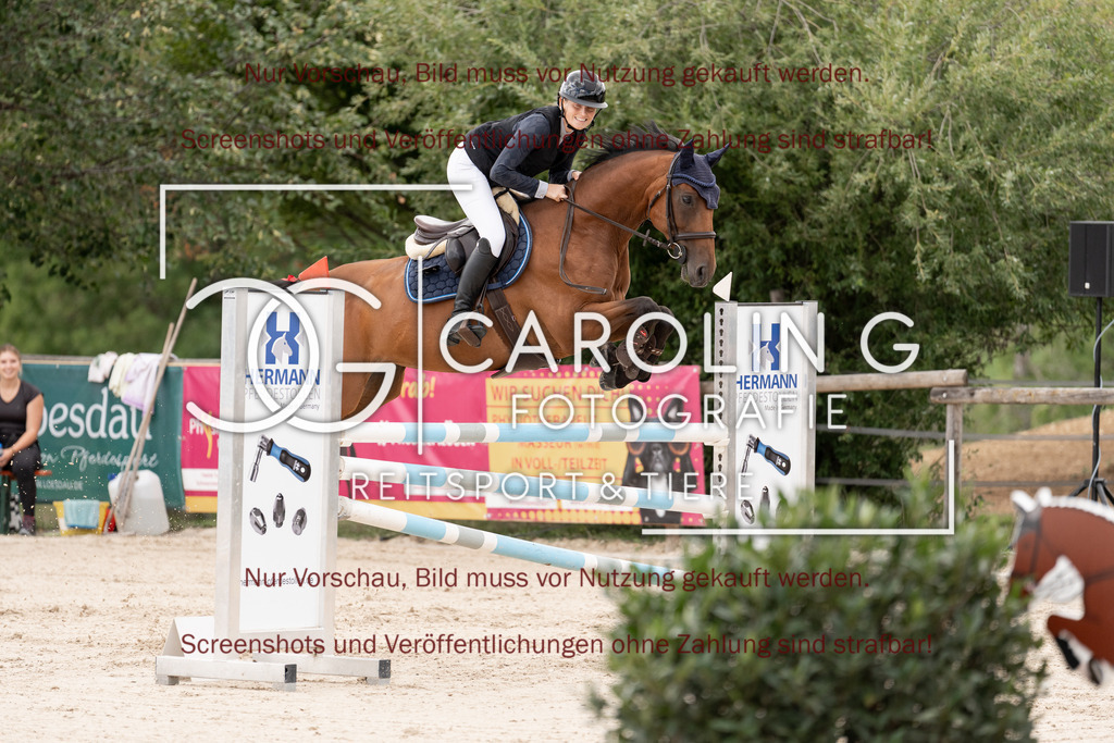 DSC06646 | Springturnier_Teamchallege_Talheim_2026, Vivien_Winter, PBM_Caramba