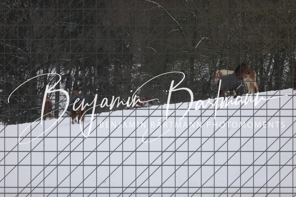 AZ2A3370 | Benjamin Bartmann Photomoments