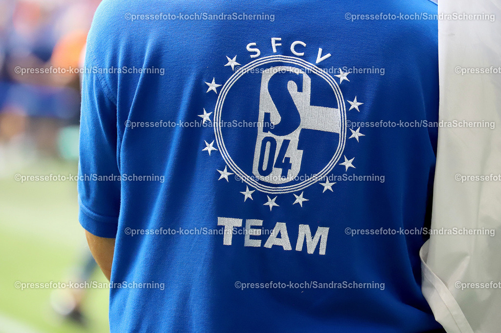 xSSC26072501040 | 26.07.2025, xsscx, Fuﬂball, FC Schalke 04 - FC Sevilla, 2. Fuﬂball Bundesliga, VELTINS-Arena, Saison 2025 2026: T-Shirt des Teams von Schalke 04 DFB regulations prohibit any use of photographs as image sequences and or quasi-video.