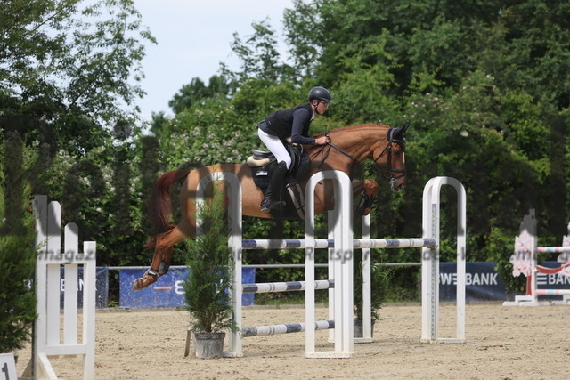 Ladenburg_2024_Prfg.Nr.12_Stil-Springprüfung_Kl.M_Nürnberger-Burgpokal_Erik Kölz_Sweet Temptation 2 (6) | Alle Fotos der Reiterjournal Fotografin Doris Matthaes im Reiterjournal Online-Fotoshop. - Realisiert mit Pictrs.com