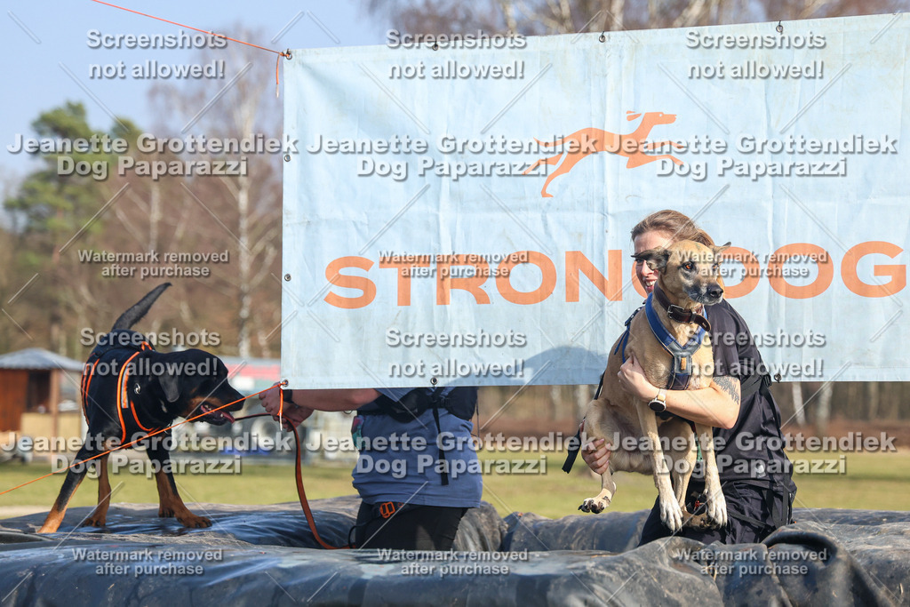 Dog Paparazzi - Strongdog North Mrz26-3122 | Dog Paparazzi Jeanette Grottendiek Fotografie & Videografie - Realisiert mit Pictrs.com