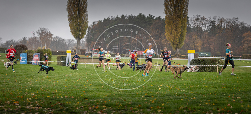 CaniXpix_DV3A8852 | Hundefotografie, Tierfotograf, Pfotenfotografie, Fotoshooting Hund, Hunde Portrait, Hundesport, Hundeportraits, Heideshooting, Hunde, Sportfotograf, Hundefotograf, Turnierhundsport, THS,  - Realisiert mit Pictrs.com