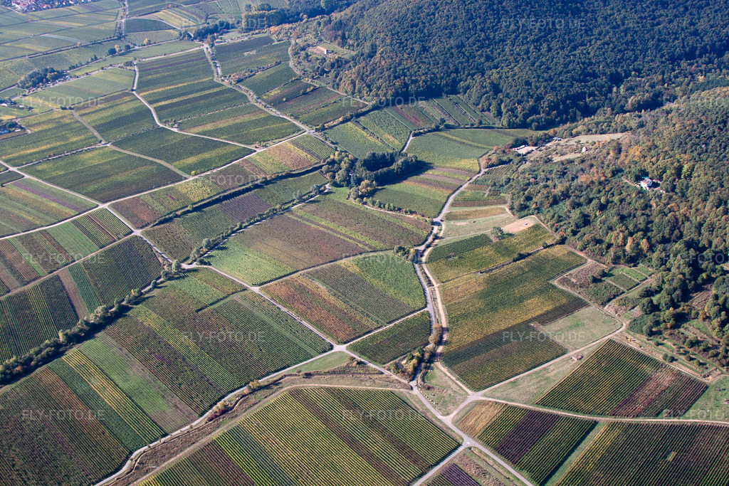 Luftbild: Weinbergs- Landschaft der Winzer- Gebiete im Ortsteil Hambach an der Weinstraße im Ortsteil Diedesfeld in Neustadt im Bundesland Rheinland-Pfalz in Deutschland. Foto: IMG_22106.jpg vom 15.10.2009 durch Werner Riehm/FLY-FOTO.de