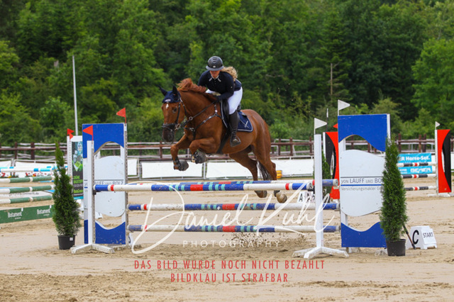 DKP41864 | Turniersportfotografie; Pferdefotografie; Dressurfotografie