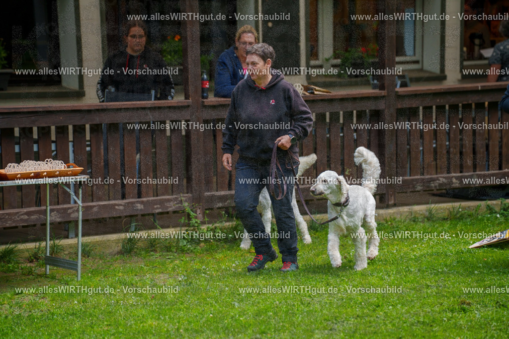 @allesWIRTHgut_Tierfotografie - www.allesWIRTHgut.de - 7R504007 | Professionelle Tierfotografie in Mönchengladbach von Daniel Wirth (allesWIRTHgut). Liebevolle & natürliche Bilder von Hunden & Katzen für unvergessliche Erinnerungen.