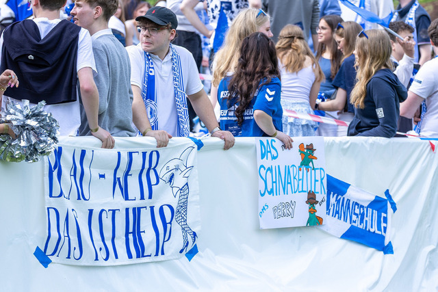 Derby DMS-STG  020 | Herzlich willkommen in meiner Fotogalerie für Sportmannschaften. Schau gerne mal rein, vielleicht ist Dein Team ja auch dabei! Falls nicht, schreib mir und wir ändern das! :)  - Realisiert mit Pictrs.com