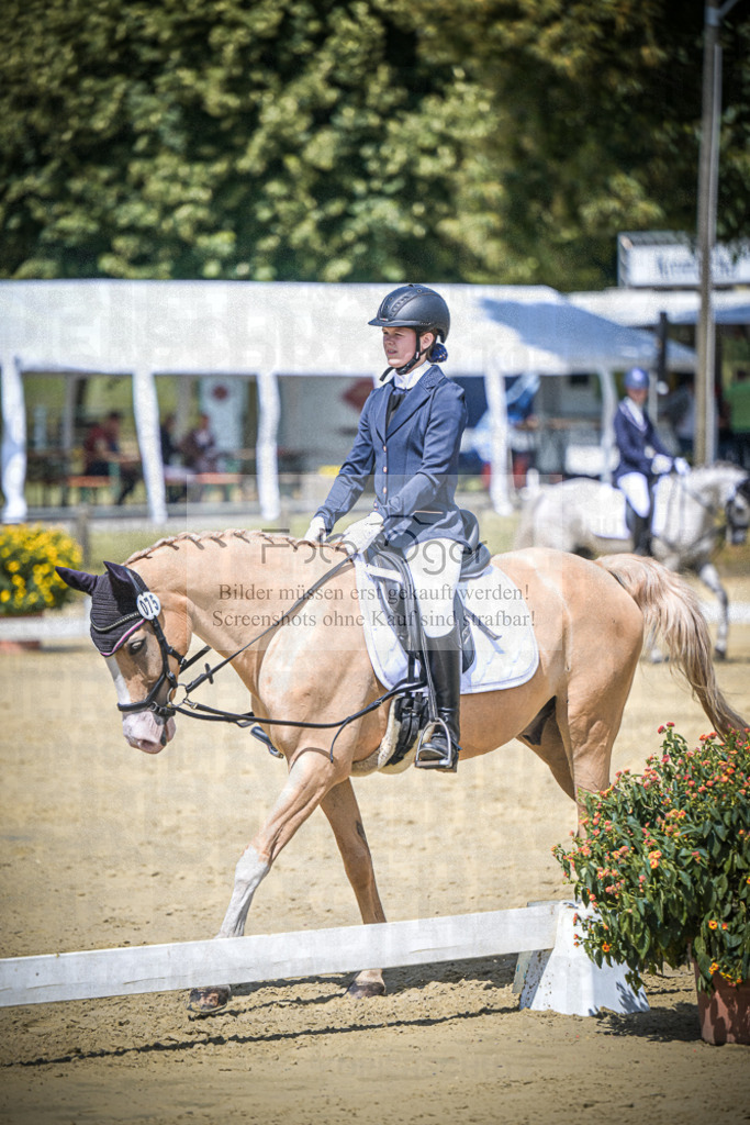 DOS_5728 | Entdecke hochwertige Reitturnierfotos von Foto Oger. Professionell, emotional und authentisch – jetzt Lieblingsmomente im Shop bestellen.Deutschlandweite Turnierfotografie. - Realisiert mit Pictrs.com