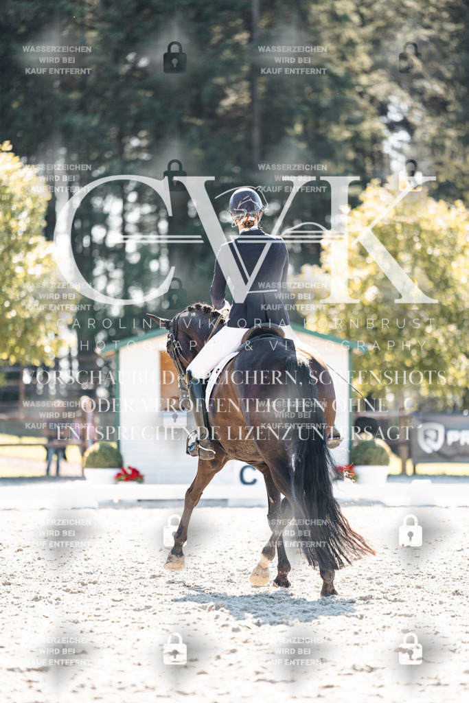 CK905571 | Turnierfotografie Pferdefotografie Trier Rheinland-Pfalz Pferdesport Reitsport Tierfotografie Sportfotografie Pferdevideo Pferdevideografie Equestrianvideography equestrianphotography  - Realisiert mit Pictrs.com