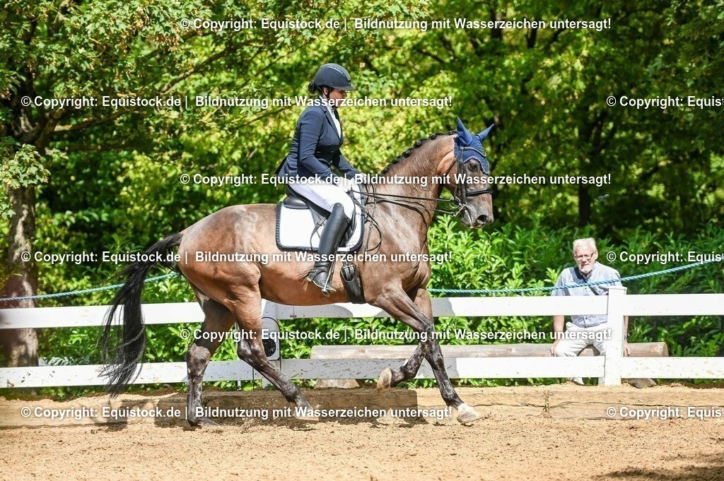 20230716_01_Dressurprüfung Kl.M_0304 | equistock