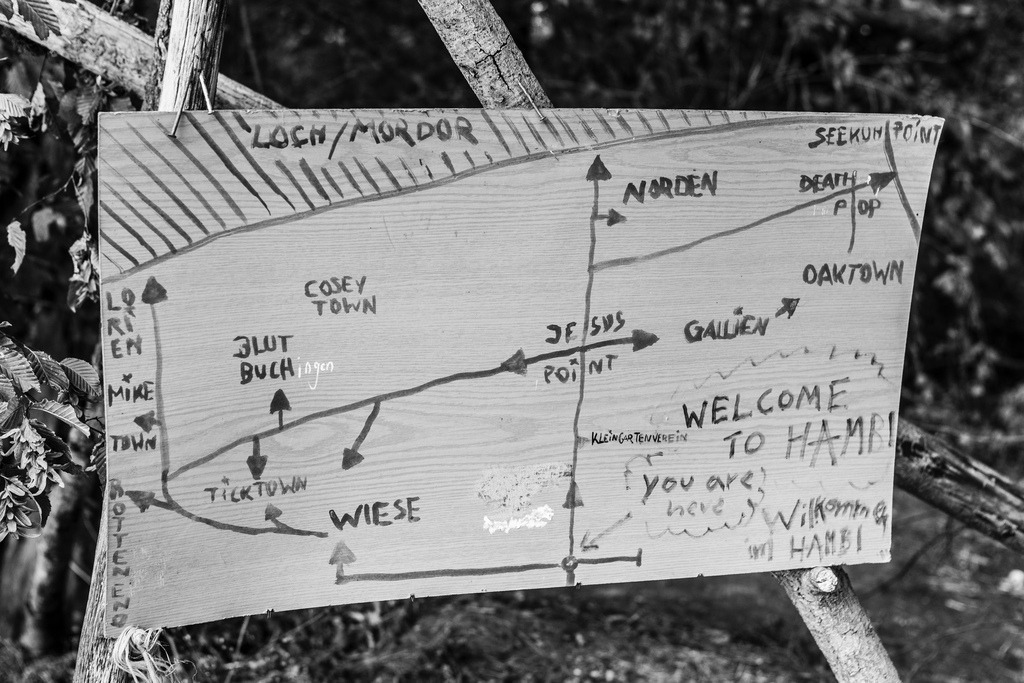 20180827_BL68862 | Hambi, Hambacher Forst 2018 - Realisiert mit Pictrs.com