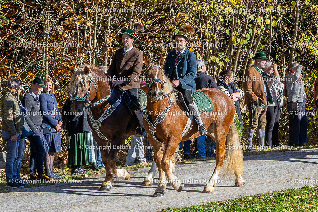LBT25-776 | foto-bettina-krinner - Realisiert mit Pictrs.com