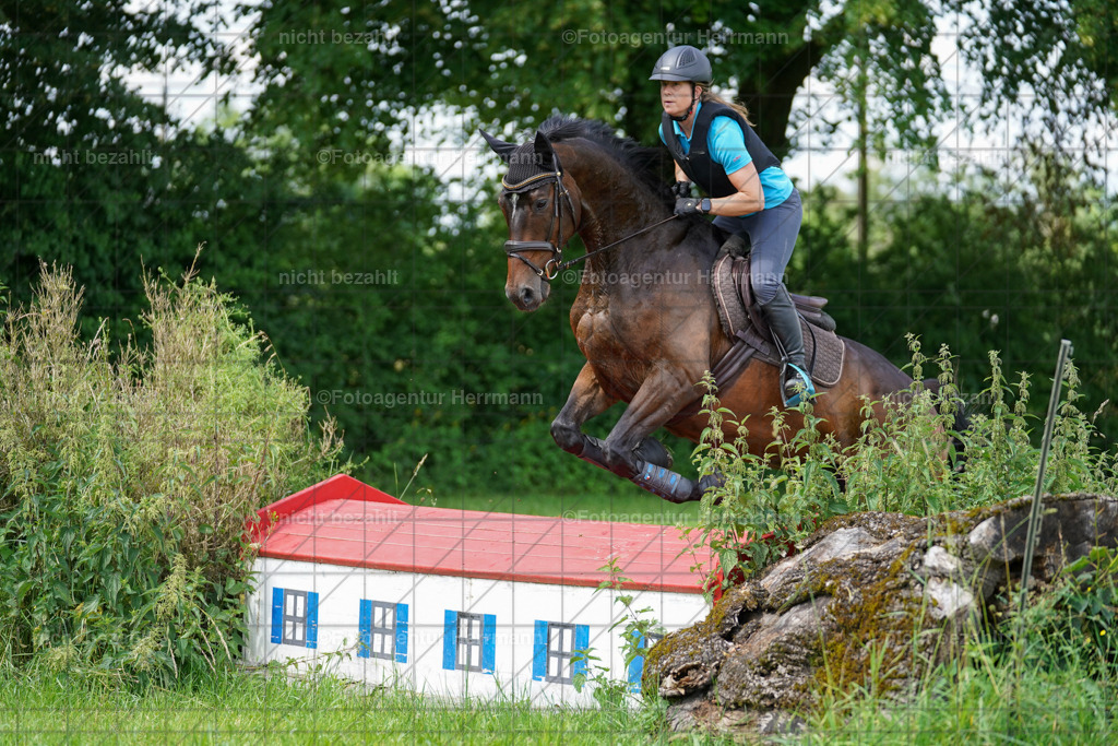 20240622-FAH07657 | Turnierfotografen Bayern, Reitsportbilder aus dem Geländekurs mit Felix Etzel auf dem Gut Waitzacker 2024