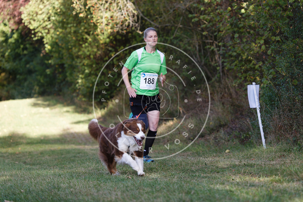 0L8A5761 | Hundefotografie, Tierfotograf, Pfotenfotografie, Fotoshooting Hund, Hunde Portrait, Hundesport, Hundeportraits, Heideshooting, Hunde, Sportfotograf, Hundefotograf, Turnierhundsport, THS,  - Realisiert mit Pictrs.com