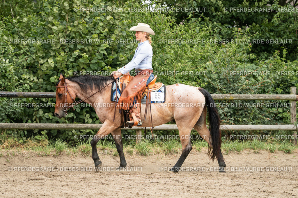 DSC04123 | Pferdegrafie