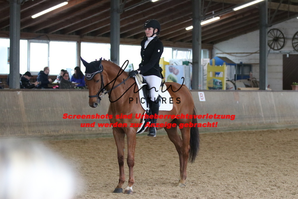 IMG_7431 | lmwpictures - Realisiert mit Pictrs.com