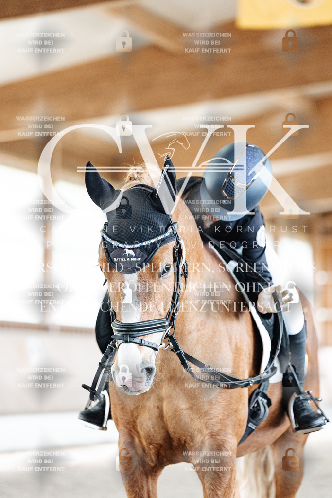 CK900886 | Turnierfotografie Pferdefotografie Trier Rheinland-Pfalz Pferdesport Reitsport Tierfotografie Sportfotografie Pferdevideo Pferdevideografie Equestrianvideography equestrianphotography  - Realisiert mit Pictrs.com