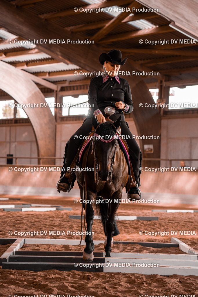 NE300115 | dv-media-shop - Realisiert mit Pictrs.com