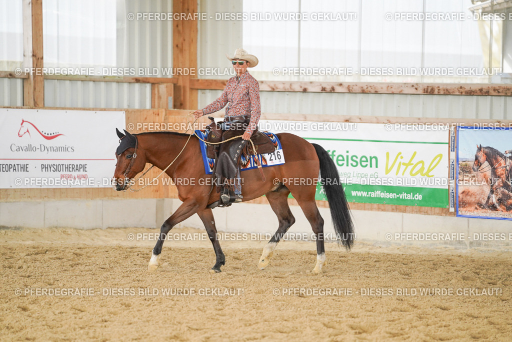 DSC01013 | Pferdegrafie