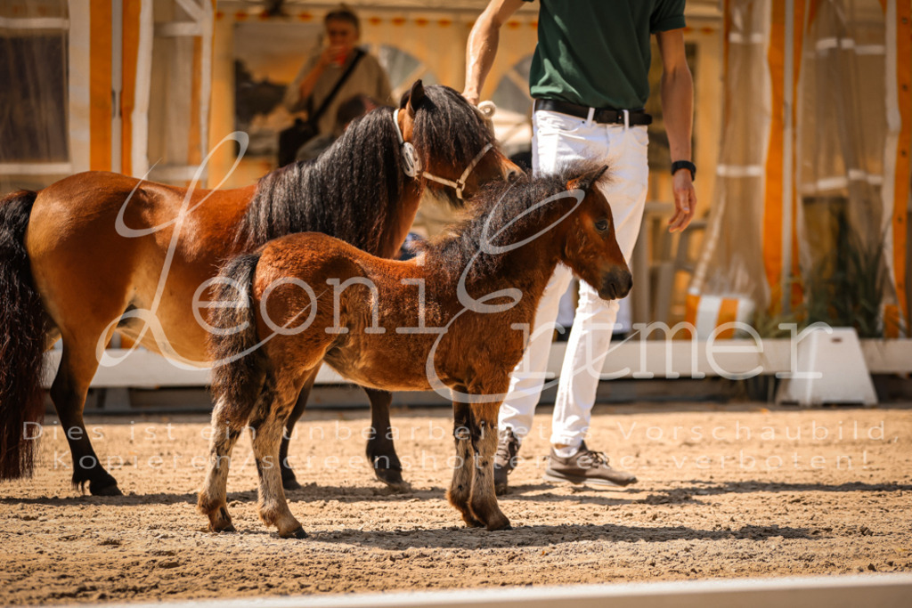 01.DoKR00038 | Leoni Ertmer Photography - Realisiert mit Pictrs.com