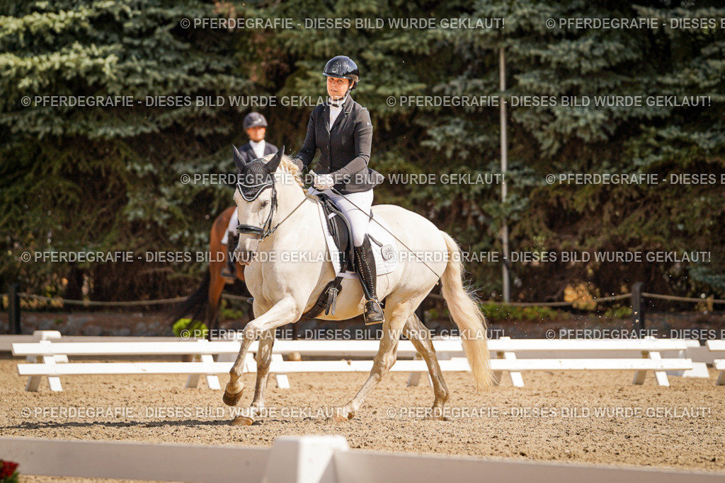 DSC01051 | Pferdegrafie