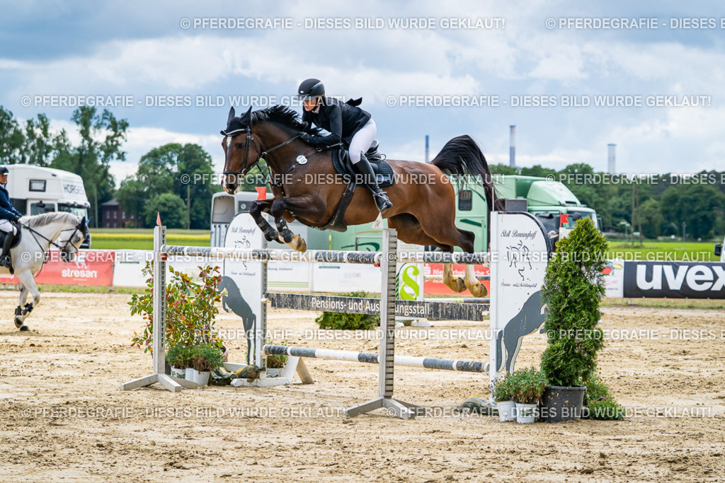 DSC05932 | Pferdegrafie