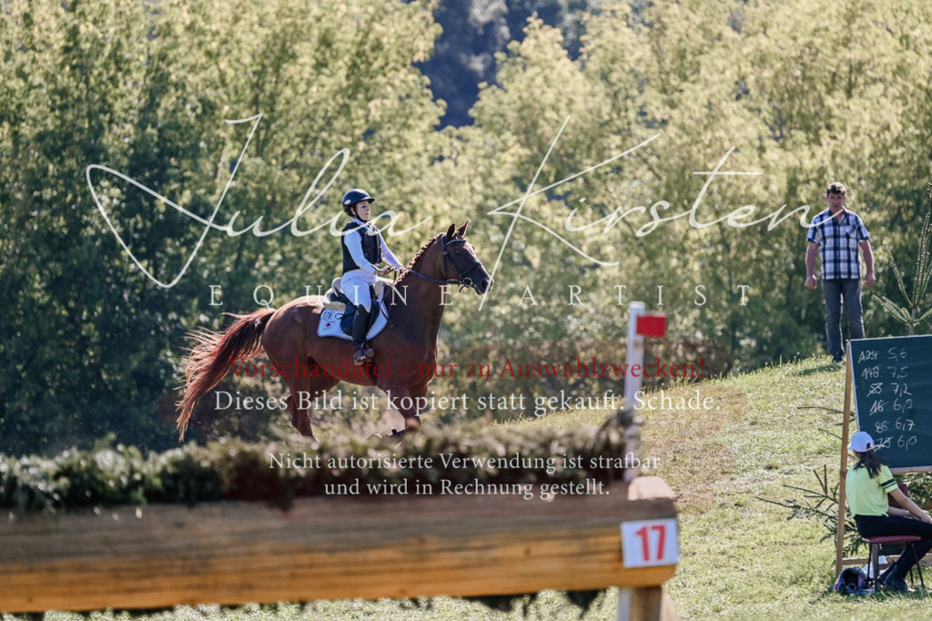 DSC_2654 | Pferde- und Turnierfotografie in Westsachsen. Pferdeportraits, Auftragszeichnungen und intuitive Kunst.