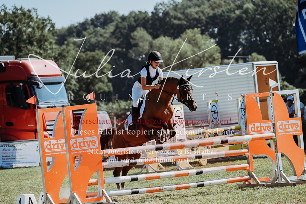 DSC_6142 | Pferde- und Turnierfotografie in Westsachsen. Pferdeportraits, Auftragszeichnungen und intuitive Kunst.