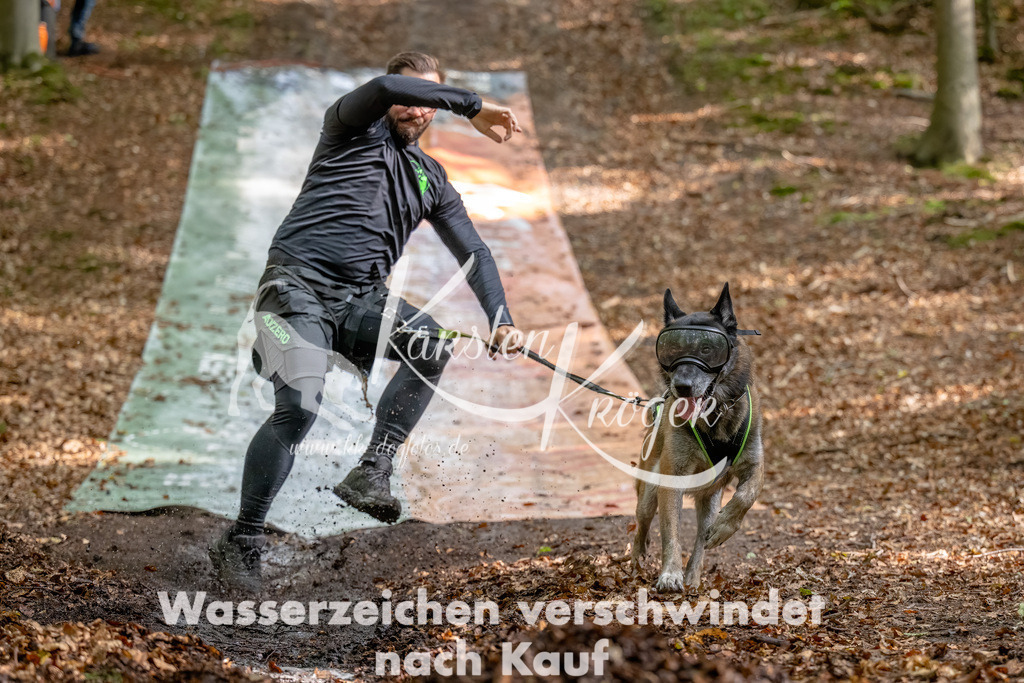 1229_ZZ90461-Bearbeitet | kk-dogfotos