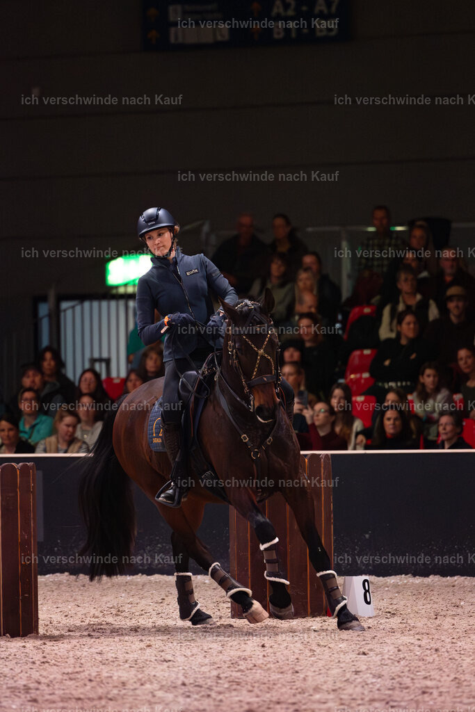 JoseraCup-84 | working equitationturnier fotograf videograf stoibphotography marixx film working equitation deutschland reitsport turnierfotografie eventfotografie equestrian events