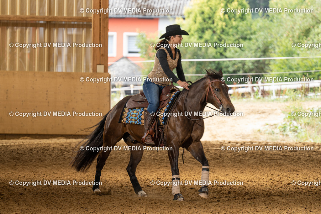 LAU01490 | dv-media-shop - Realisiert mit Pictrs.com