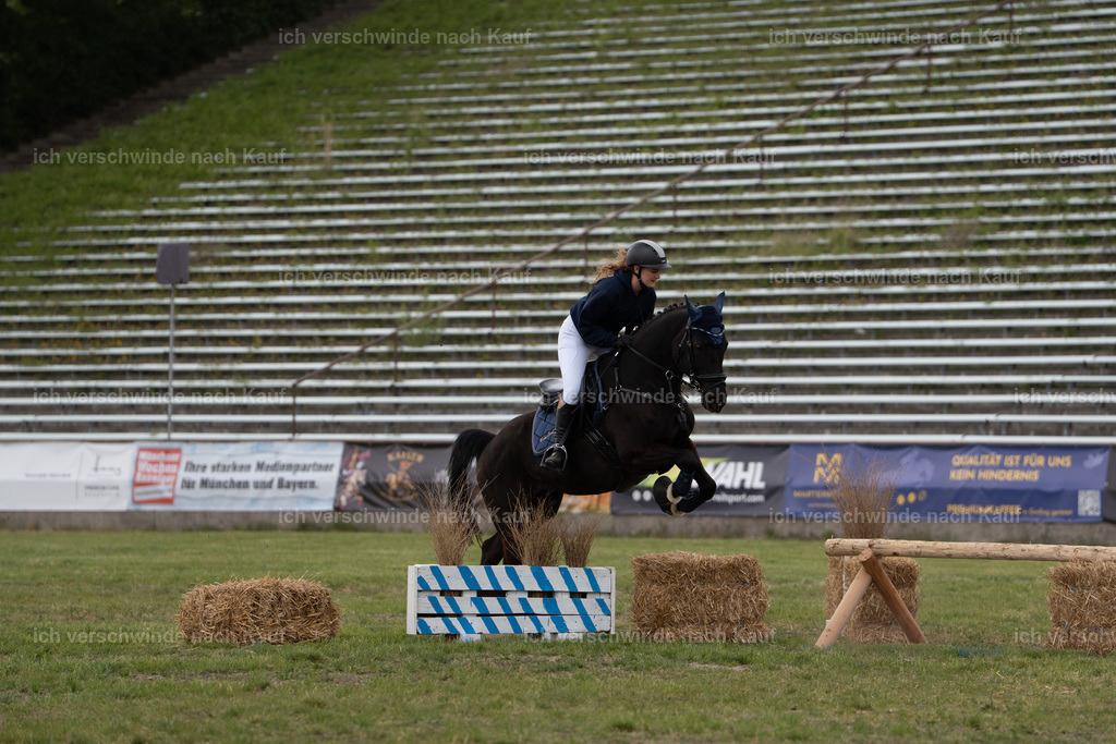 PI26_show_Jan_Picutures7C_07089.jpg | working equitationturnier fotograf videograf stoibphotography marixx film working equitation deutschland reitsport turnierfotografie eventfotografie equestrian events