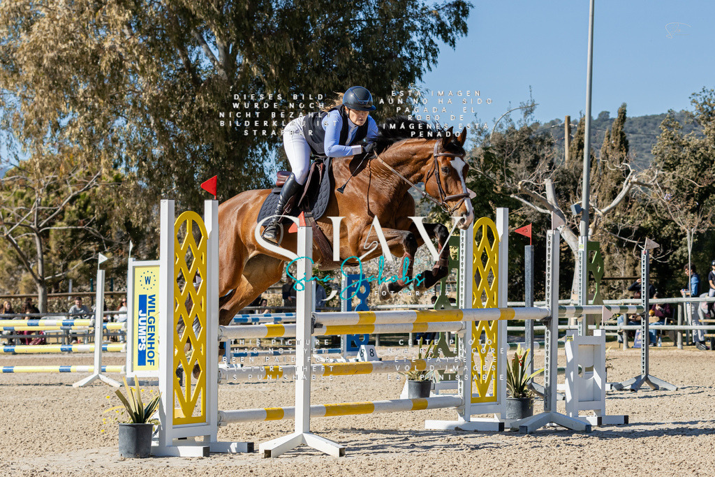 IMG_0536 | s-jay-photography - Realisiert mit Pictrs.com