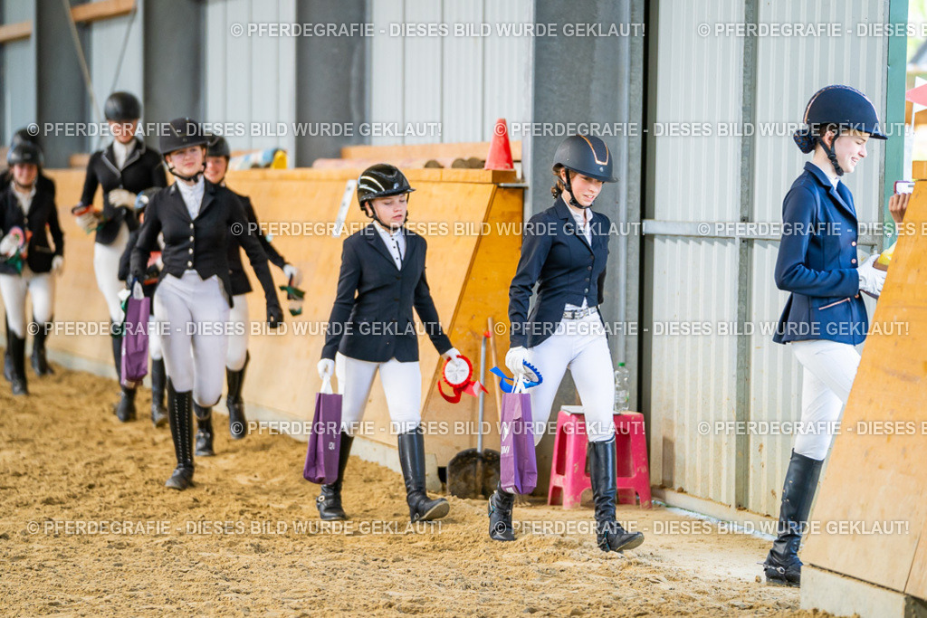 DSC09797 | Pferdegrafie