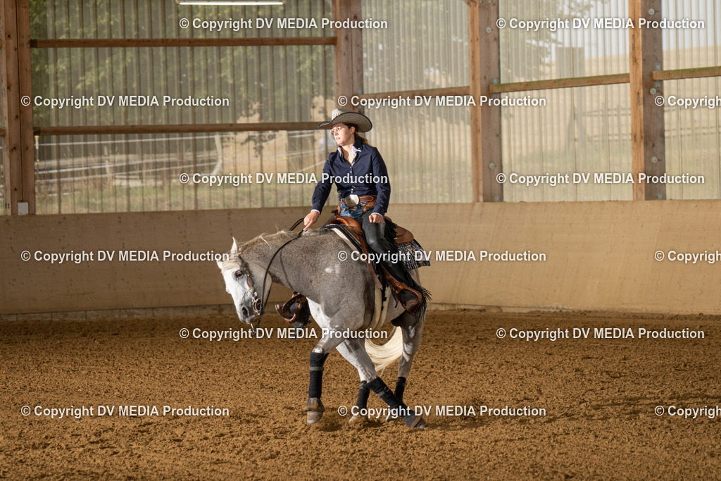 LAU01385 | dv-media-shop - Realisiert mit Pictrs.com