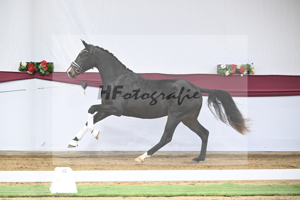 Kat-Nr. 31 In My Mind x Fidertanz_Uwe Kraft_47251060 | hf-fotografie - Realisiert mit Pictrs.com