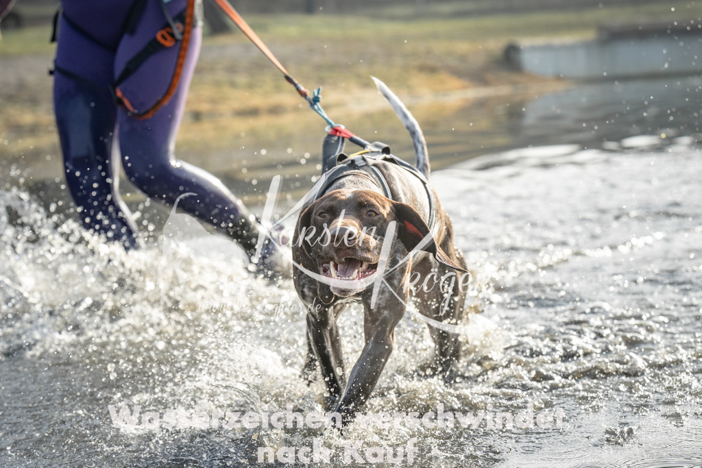 0911_ZZ90254 | kk-dogfotos