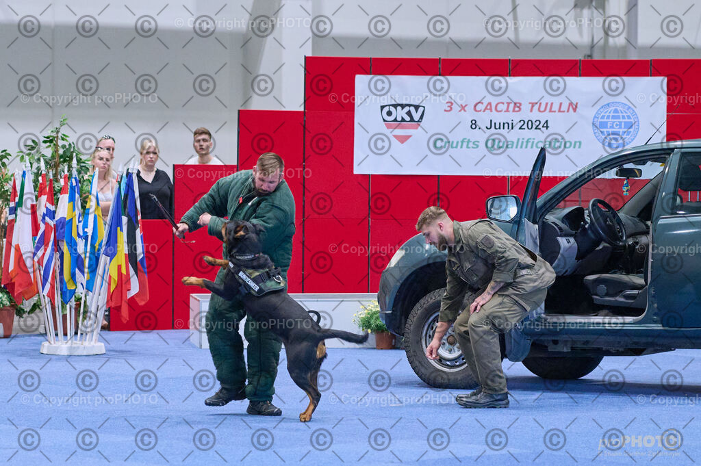 202406_ÖKV-IHA-Tulln24_DSC_3601 | proPHOTO - Realisiert mit Pictrs.com