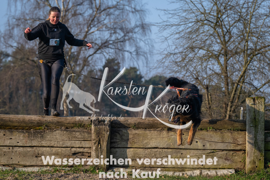 _ZZ90608 | kk-dogfotos