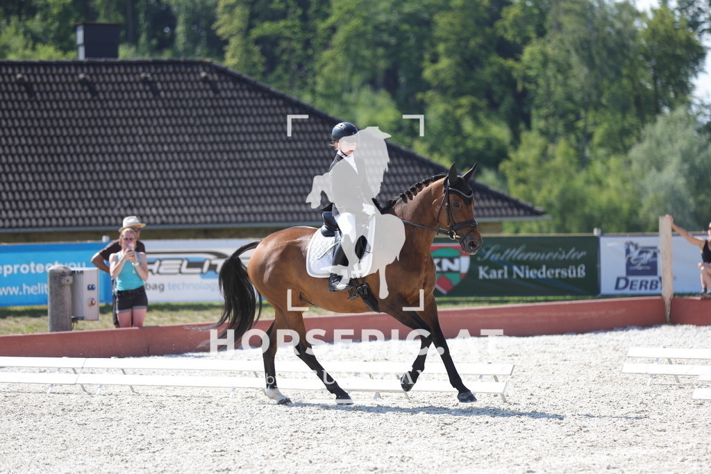 0P6A7713 | Willkommen bei Brunnmayr - Design & Fotografie – Ihrem Spezialisten für Reitturniere und Pferdeveranstaltungen in Oberösterreich, Salzburg und Bayern! Seit über 17 Jahren sind wir leidenschaftlich dabei.