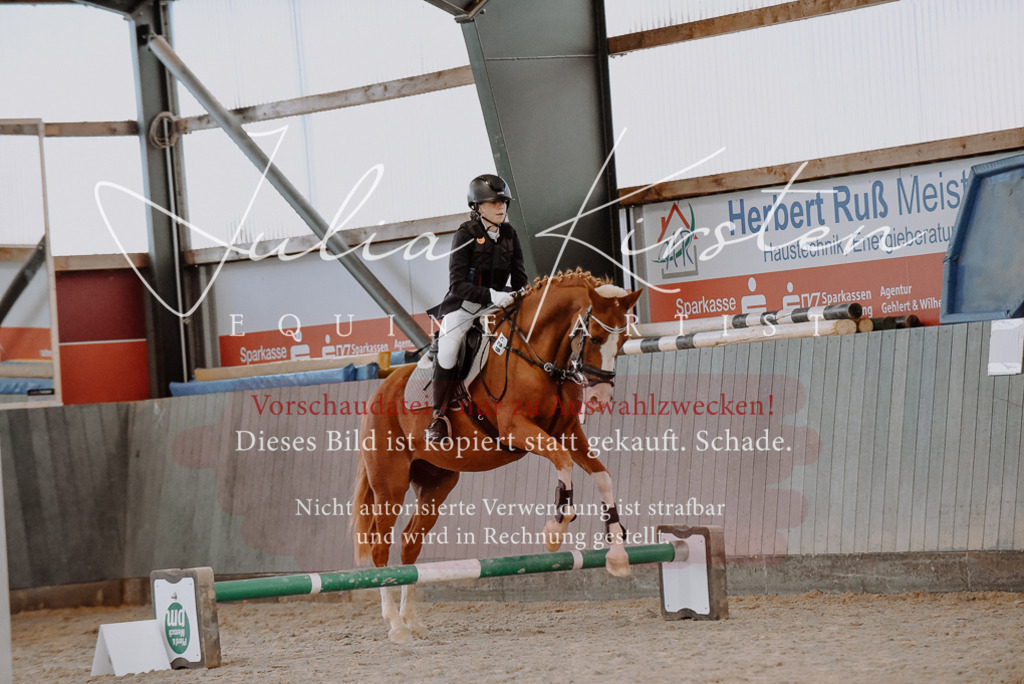 DSC_7459 | Pferde- und Turnierfotografie in Westsachsen. Pferdeportraits, Auftragszeichnungen und intuitive Kunst.