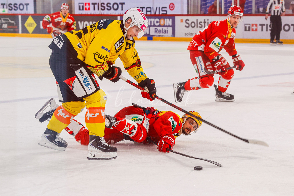 EHCB vs SCB 20260110_wb-3298 | Sportbilder, Sportfotograf, Hochzeits- und Eventfotografin, Flugshows, Portraits und Tiershooting, Aviation, Downhill, Nationalleague, Swissleague, International