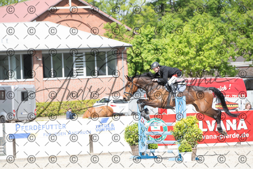 KPT_5346 | andre_photographic