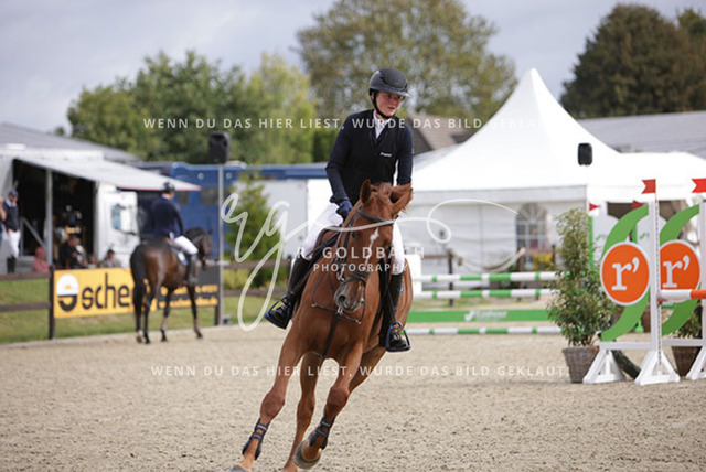 1J2A2545Pheline Ahlmann_ Belloumi_ Kn046_ Havekost | Foto- und Videografie für alles rund ums Pferd. Hochwertige Bilder und Videos vom Spring- und Dressurreiten, Voltigieren & mehr. Jetzt aktuelle Veranstaltungen und Preise im Shop ansehen. - Realisiert mit Pictrs.com