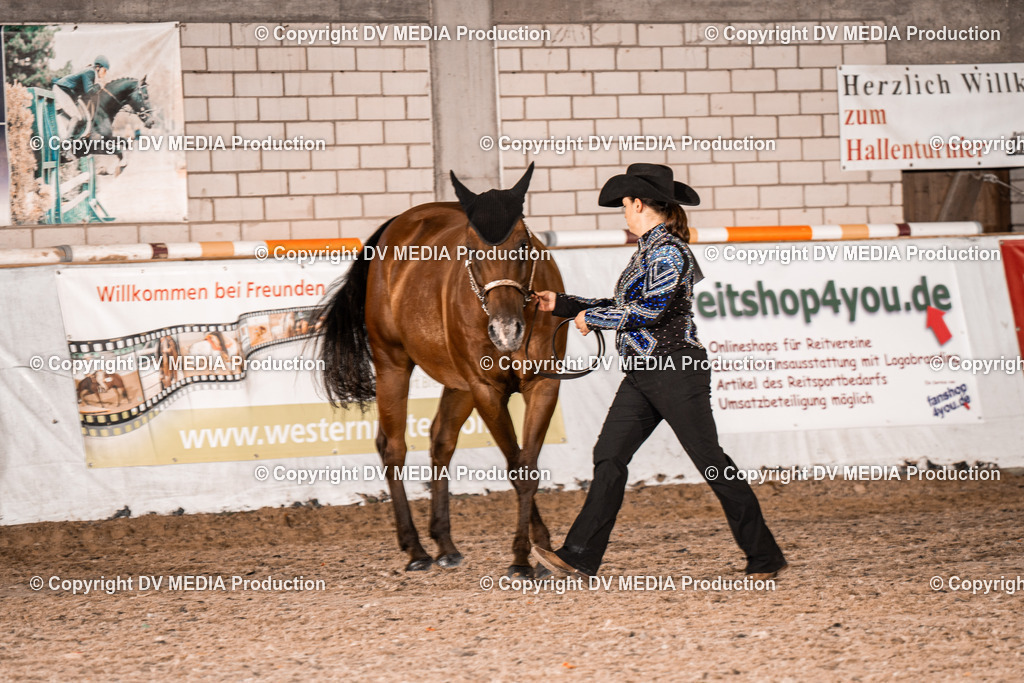 ZH100008 | dv-media-shop - Realisiert mit Pictrs.com